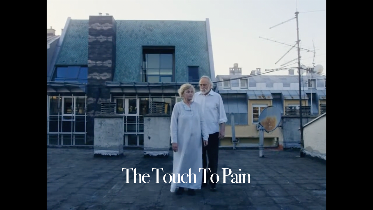 The Touch To Pain